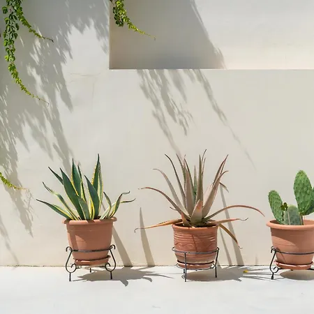 Vintage Charm Дом отдыха Кос