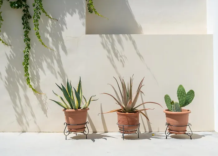 Vintage Charm Дом отдыха Кос